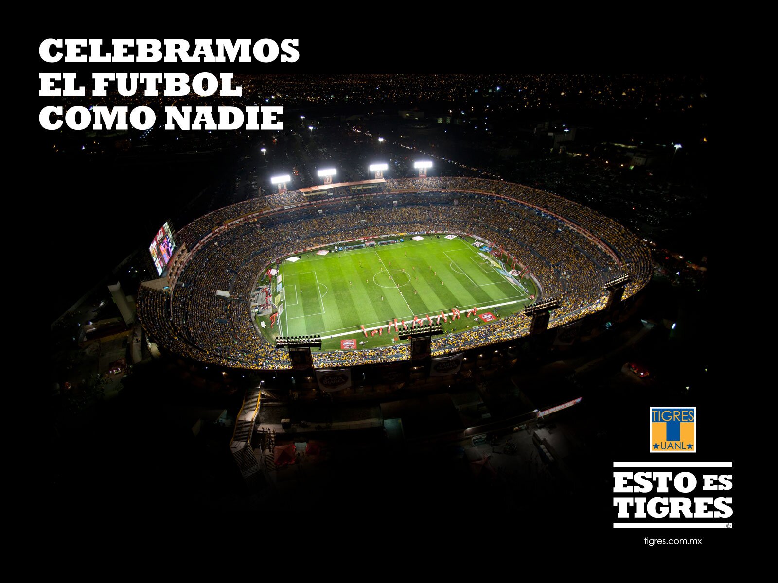 abel_cisneros's profile banner image