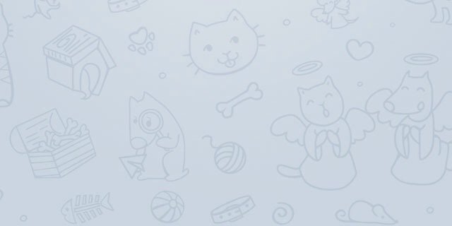 Telegram_RUS's profile banner image