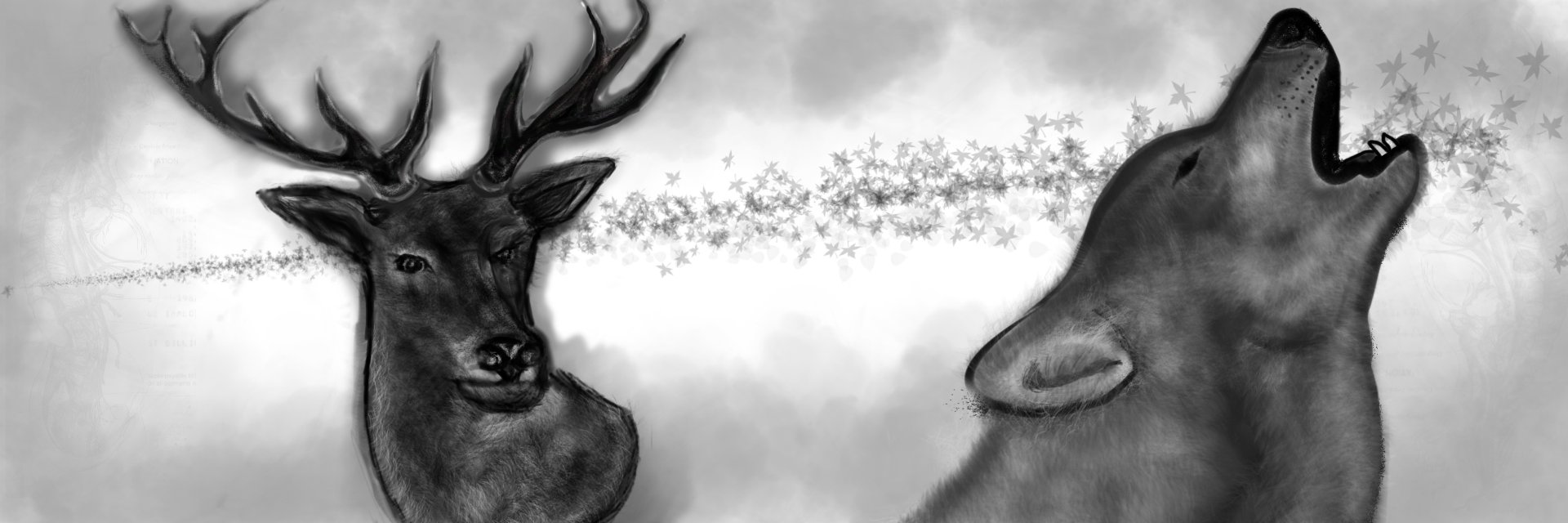 Jakob559's profile banner image