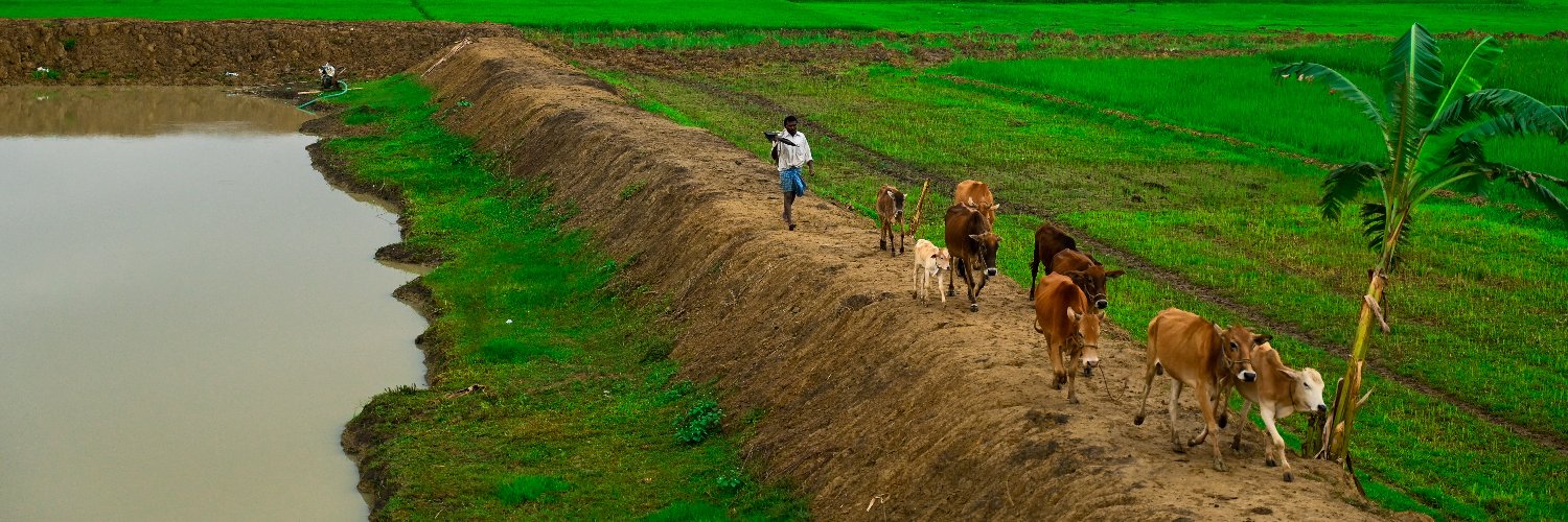 CGIAR Policy Innovations banner