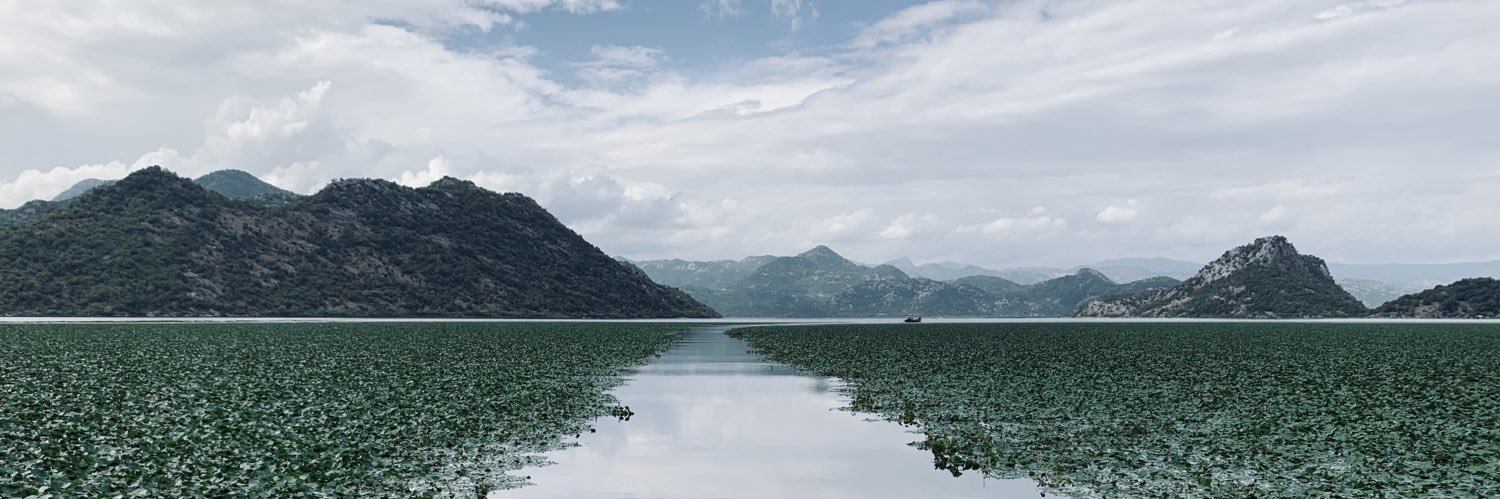 Carol Dewhurst OBE DL banner