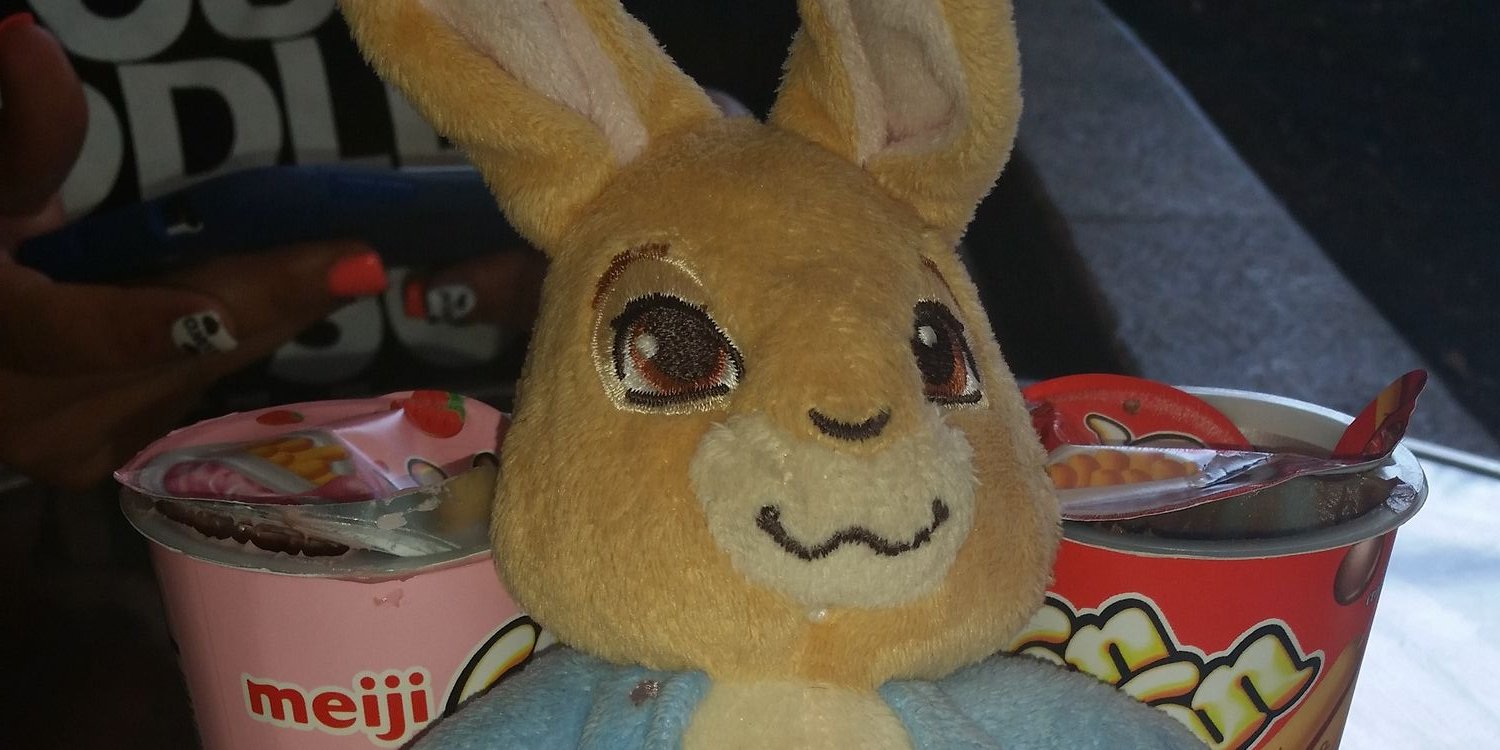 ChapinCarrie's profile banner image