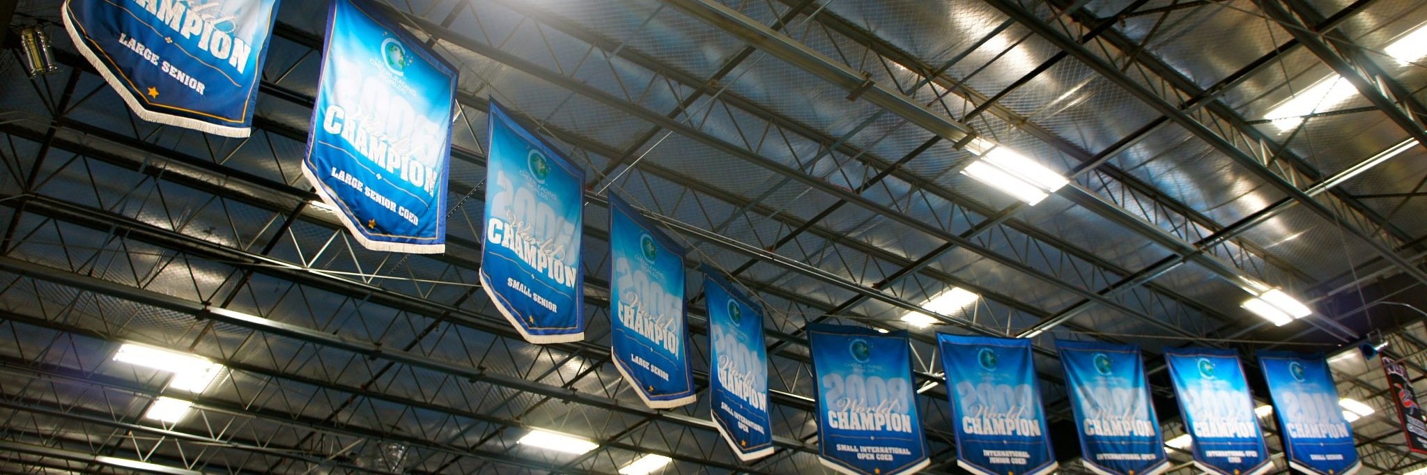 CA_DiamondCats's profile banner image