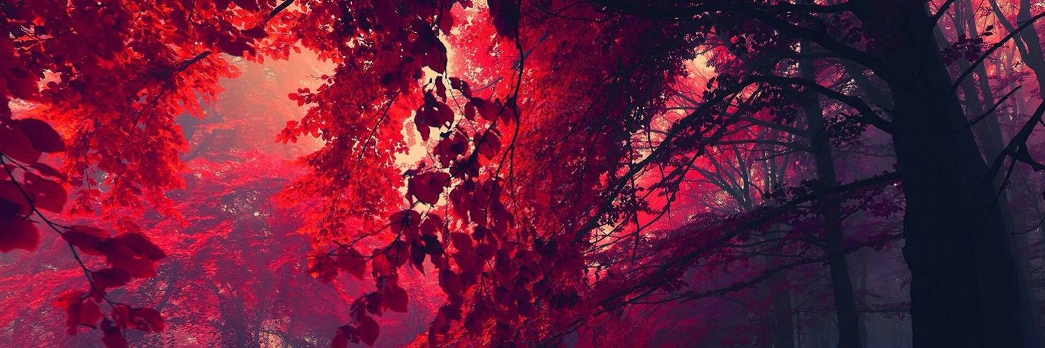 botaner1's profile banner image