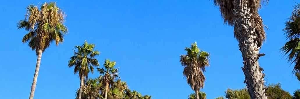CHLOELHOYLE's profile banner image