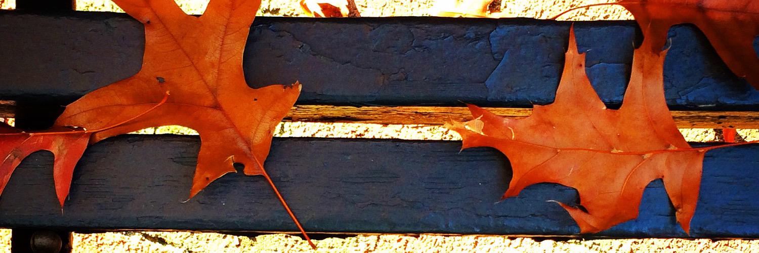 Rageshtweets's profile banner image