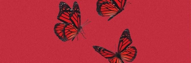 chague0512's profile banner image