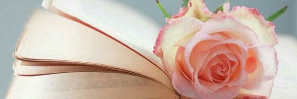 dayjoia's profile banner image