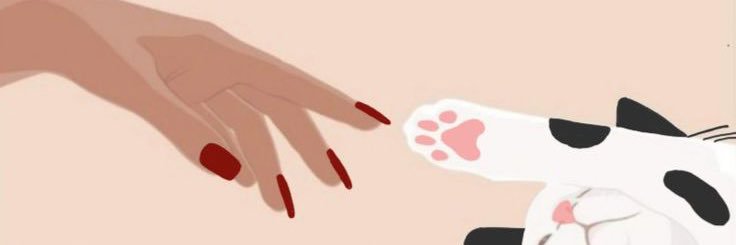 CarlyAlexis1210's profile banner image