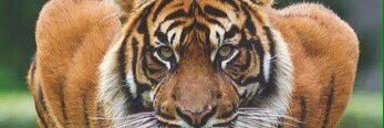DraieC's profile banner image