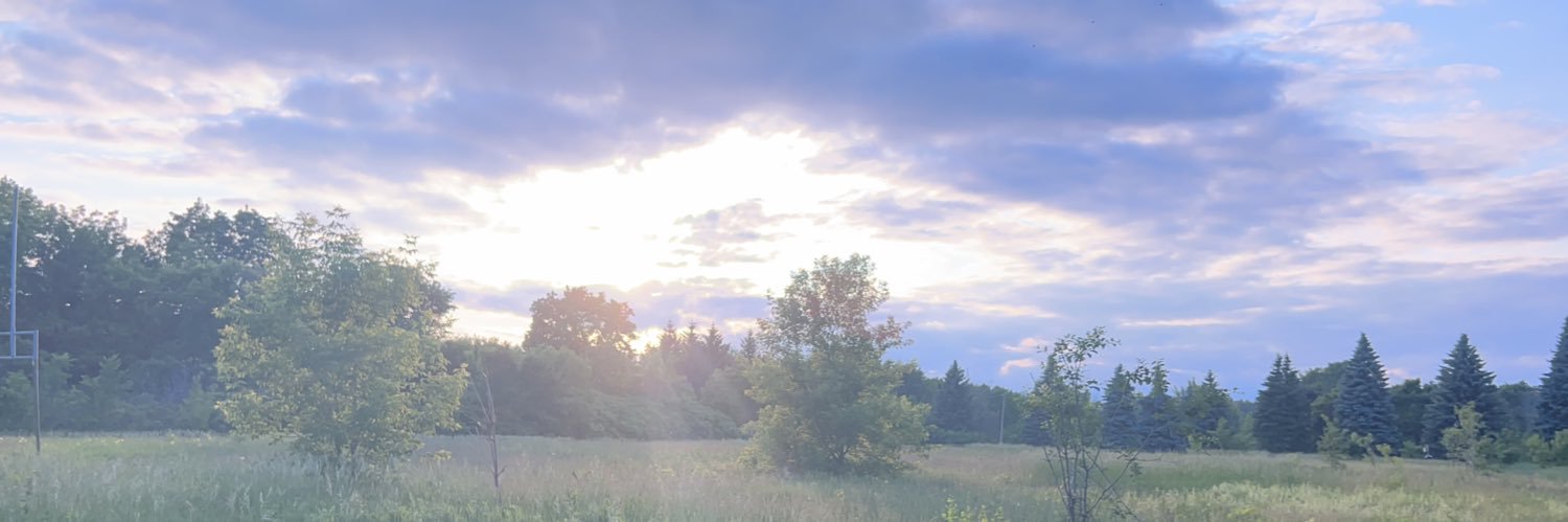 badixr's profile banner image