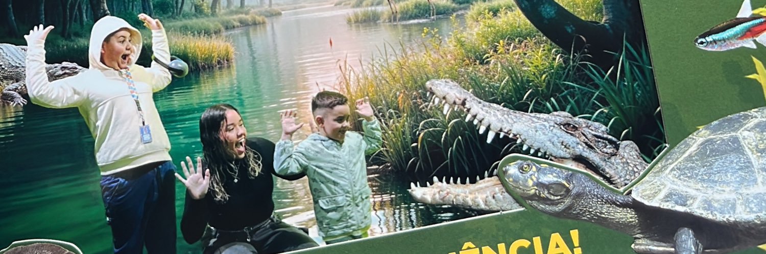 stteecr's profile banner image