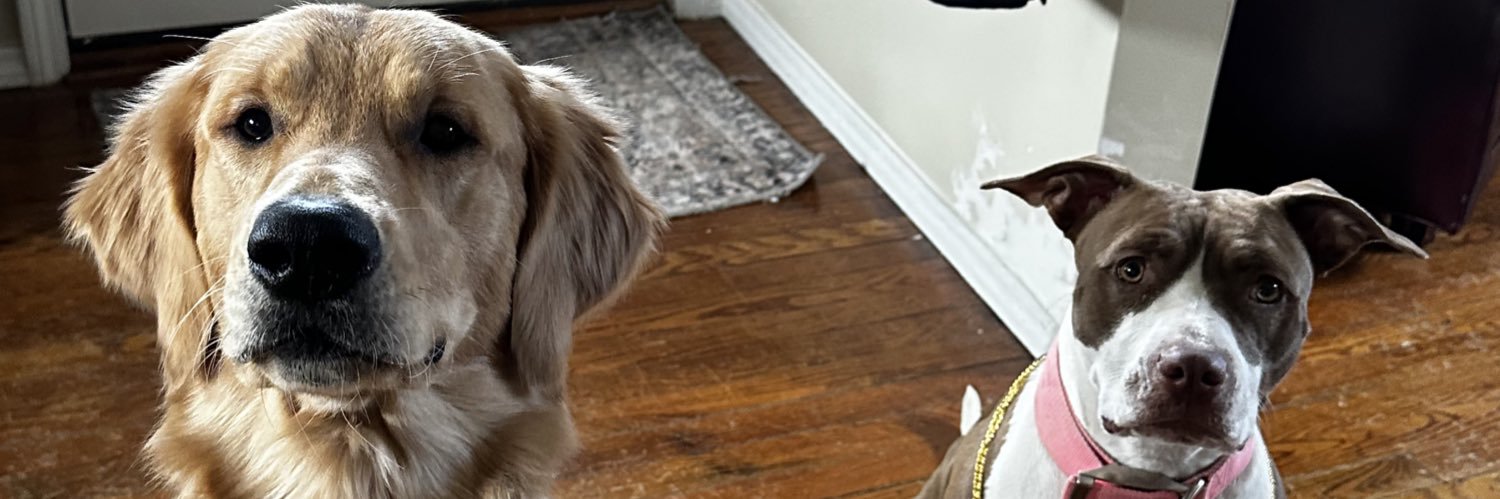 Braelynnsaige's profile banner image