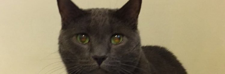 ClarpFaucet's profile banner image
