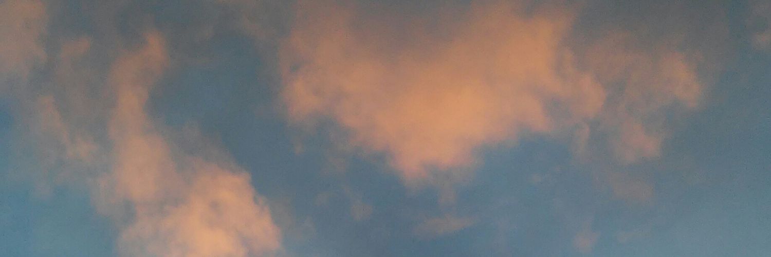 nnereaea's profile banner image