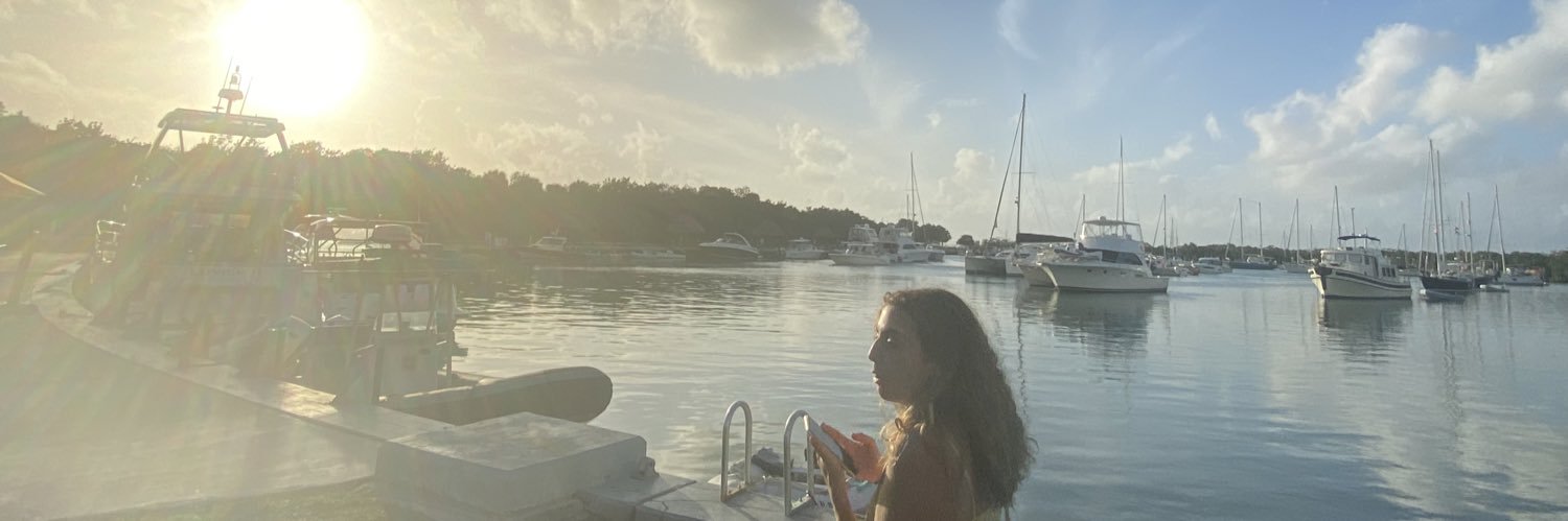 amoroortin's profile banner image