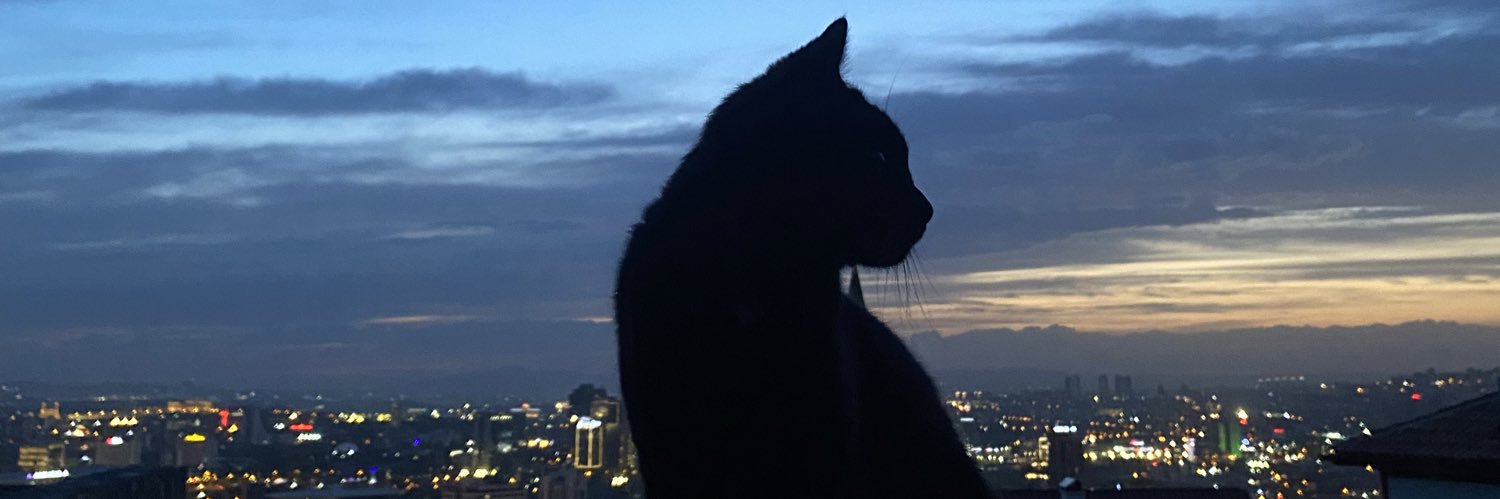 lillafepike's profile banner image