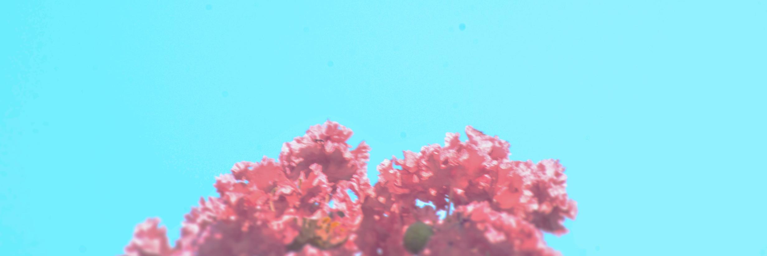 moelmoelmoel's profile banner image