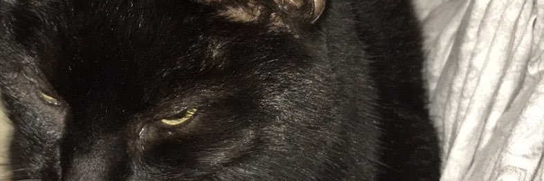 FatimaWontong's profile banner image