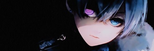 animuslib's profile banner image