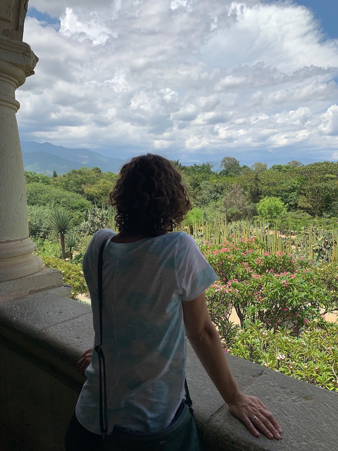 Lucille Baller banner