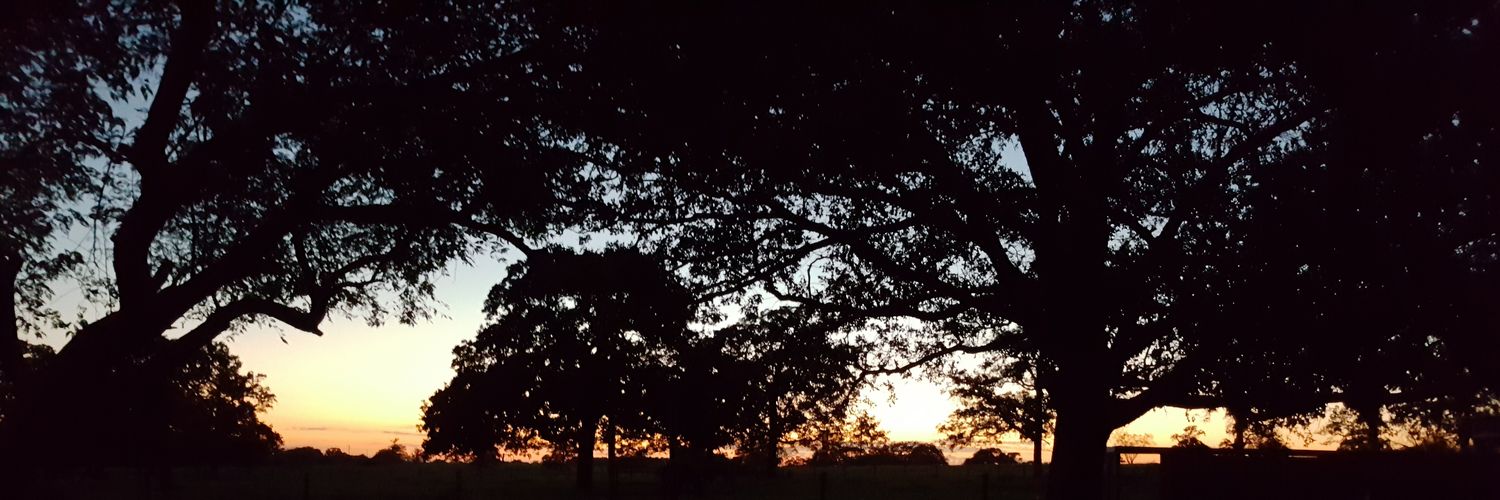 BoBocuso's profile banner image