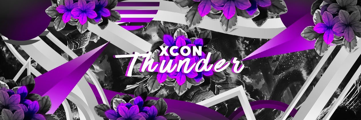 thunder4341's profile banner image