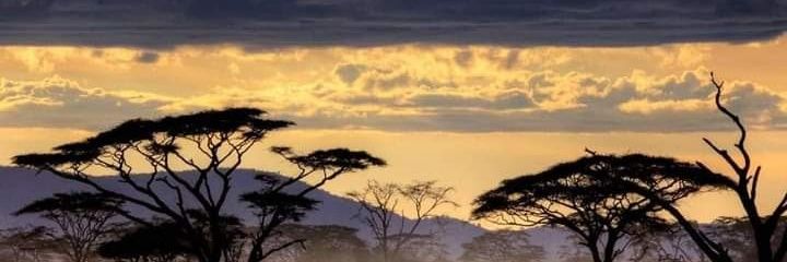 MarciaPanirak's profile banner image