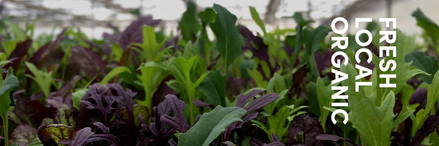 GrownHereFarms's profile banner image