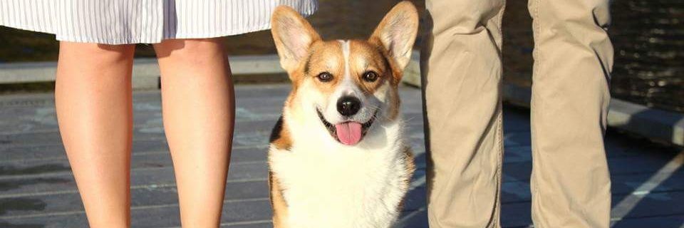 thepolishedbean's profile banner image