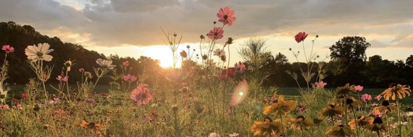 kyndall_feather Profile Banner