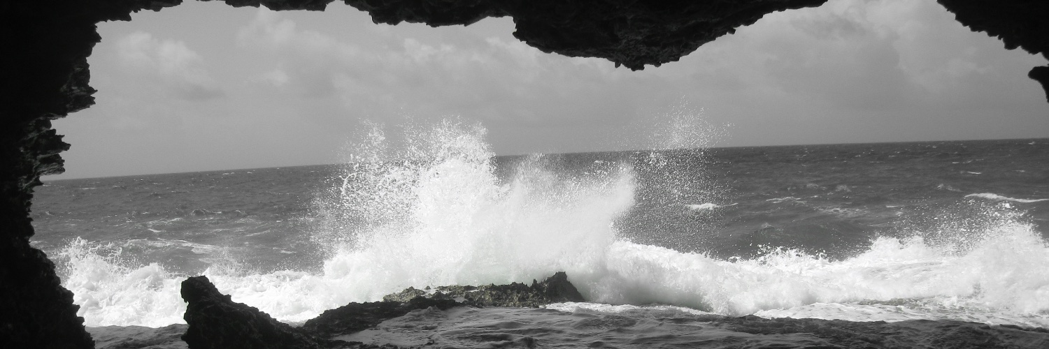 Grant MacPherson banner