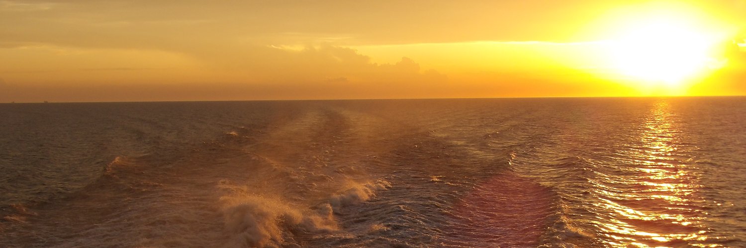 salvoelfulgor's profile banner image