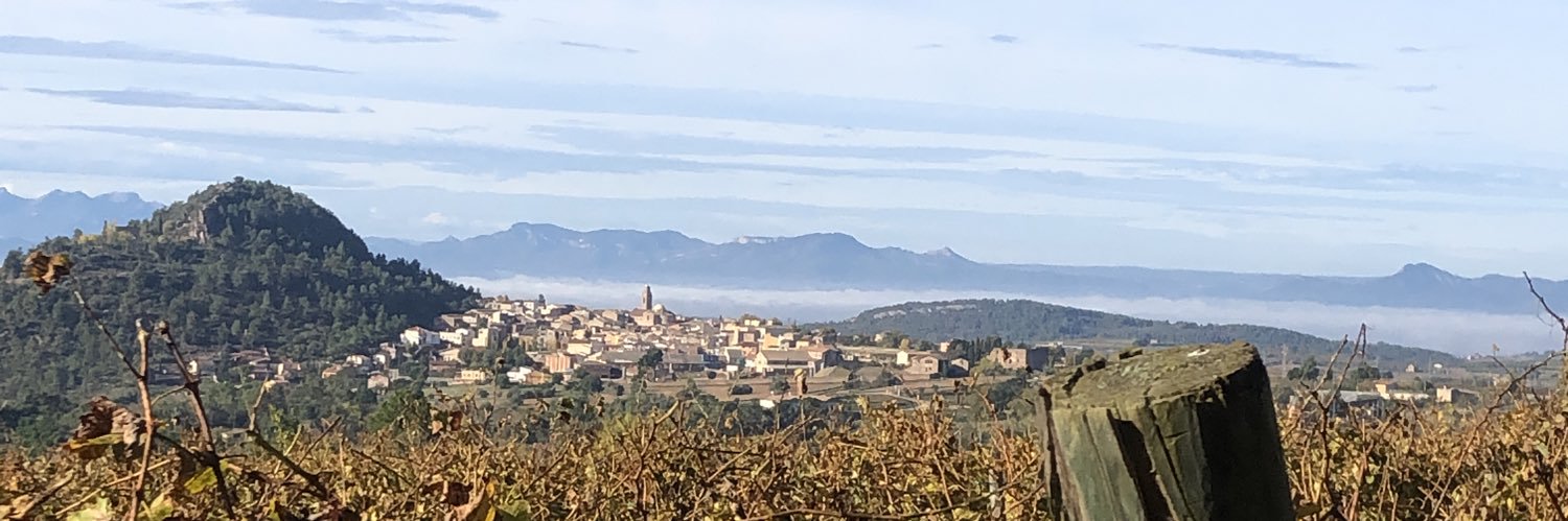 Montse Bartolomé banner