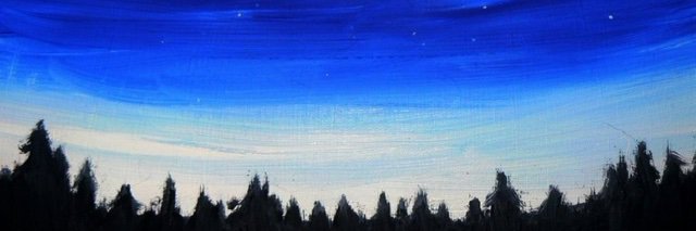 SkylerRust's profile banner image