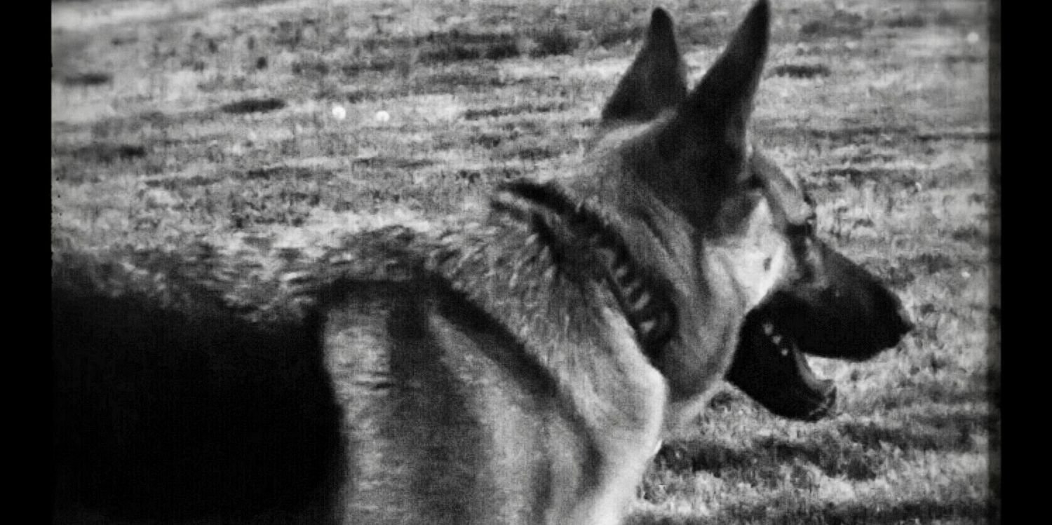 Karl Lauderback banner