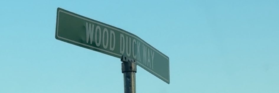 ChaseCluckett's profile banner image