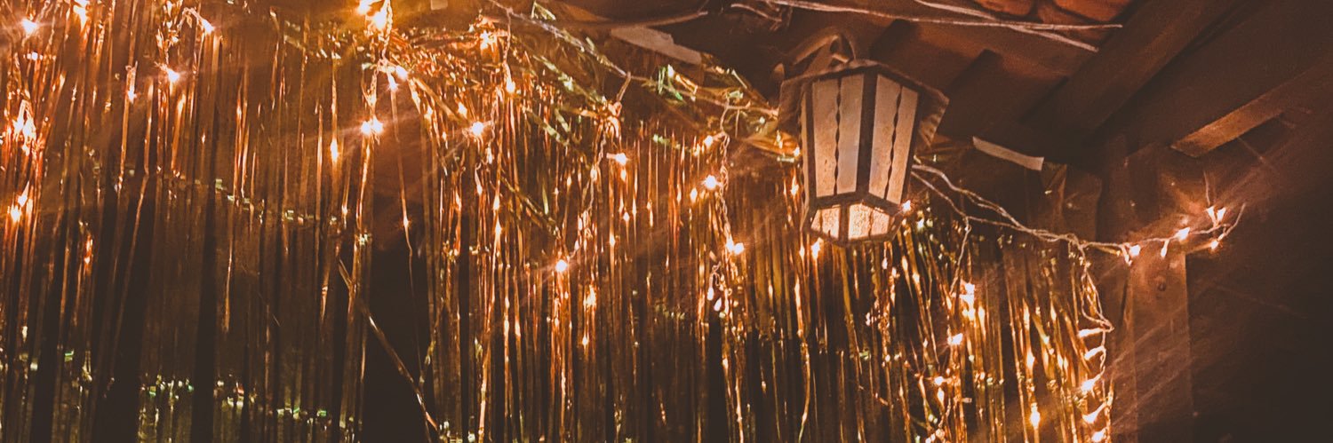 layponcio_'s profile banner image