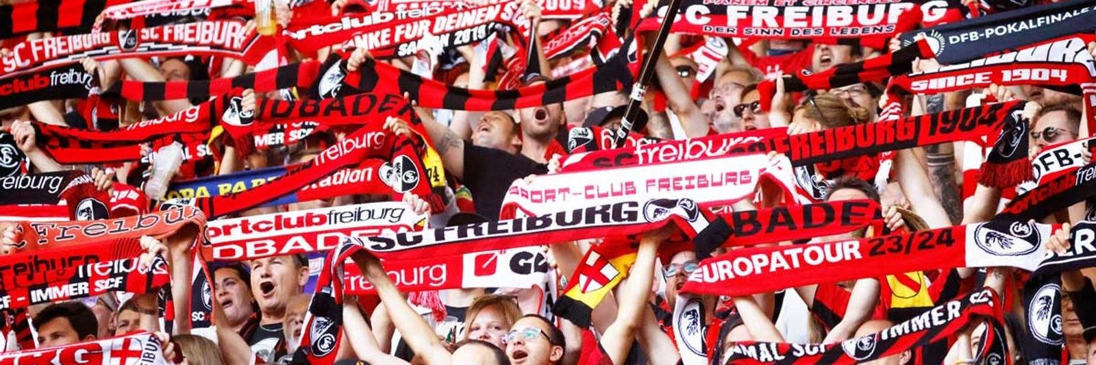 1904_SCF banner