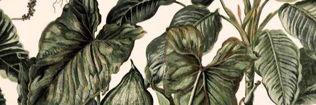 pedra696's profile banner image