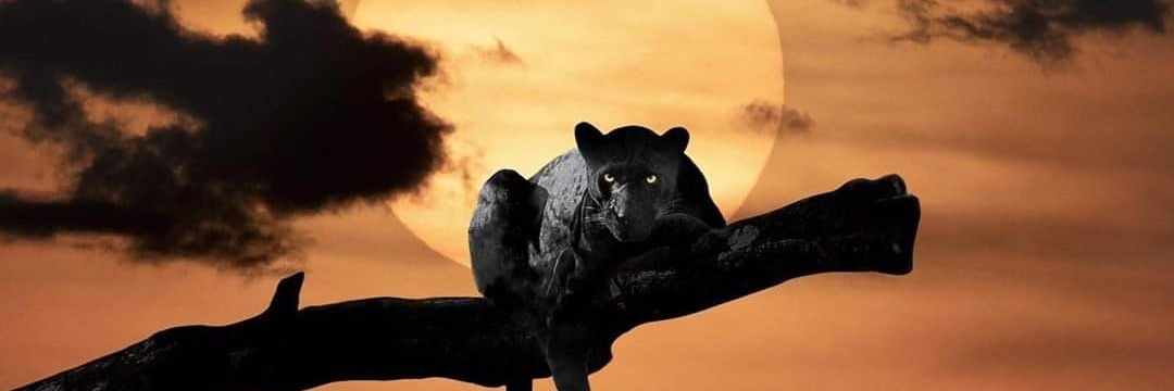 Greed&Corruption=Dispair banner