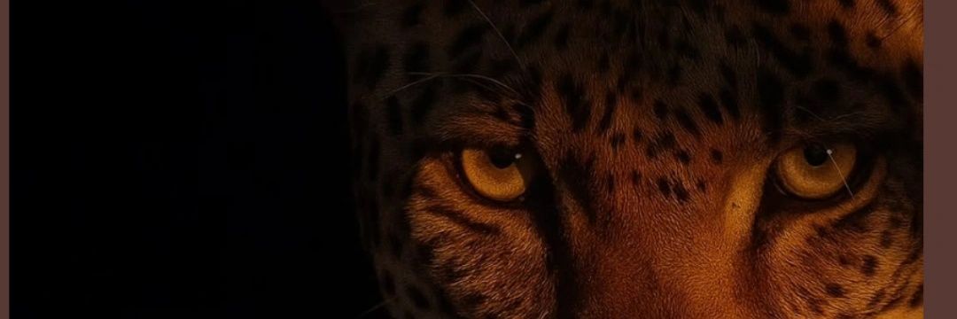 KG 🔎⚡🤠🌞🪇 banner