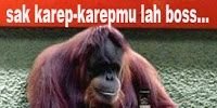 thekoplok's profile banner image