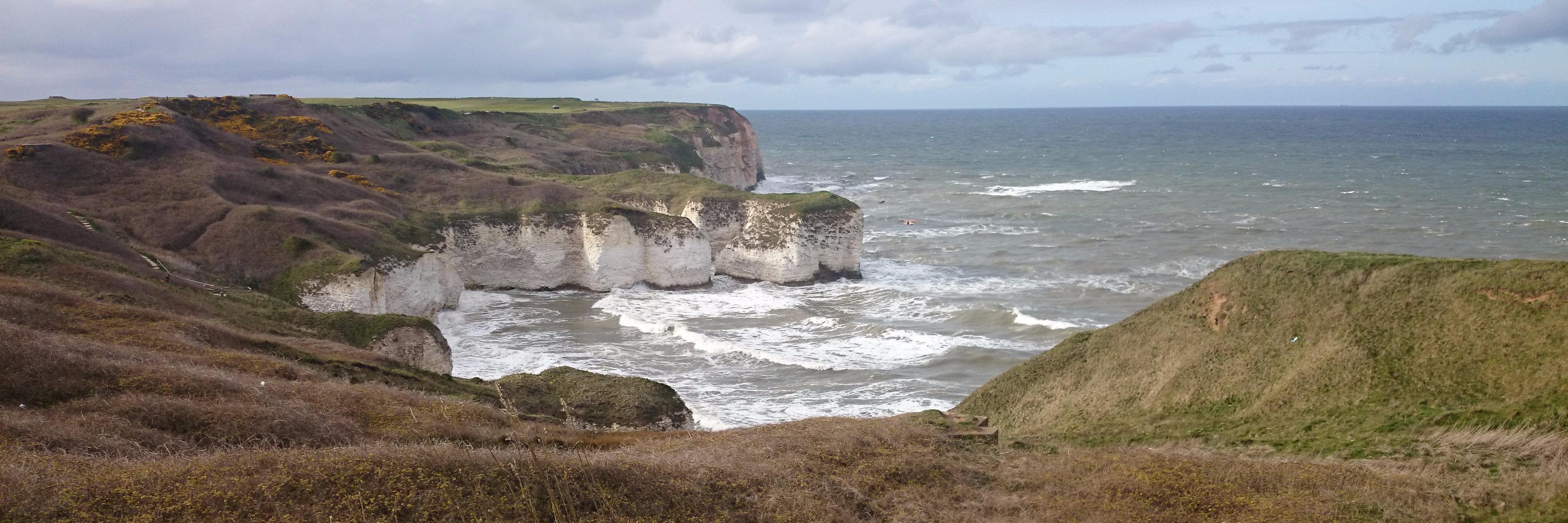 Fiona Elliott banner