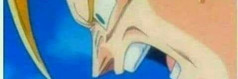 *rulo* banner