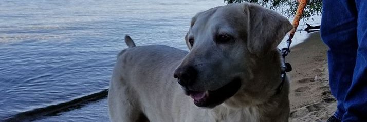 MrsTommr's profile banner image