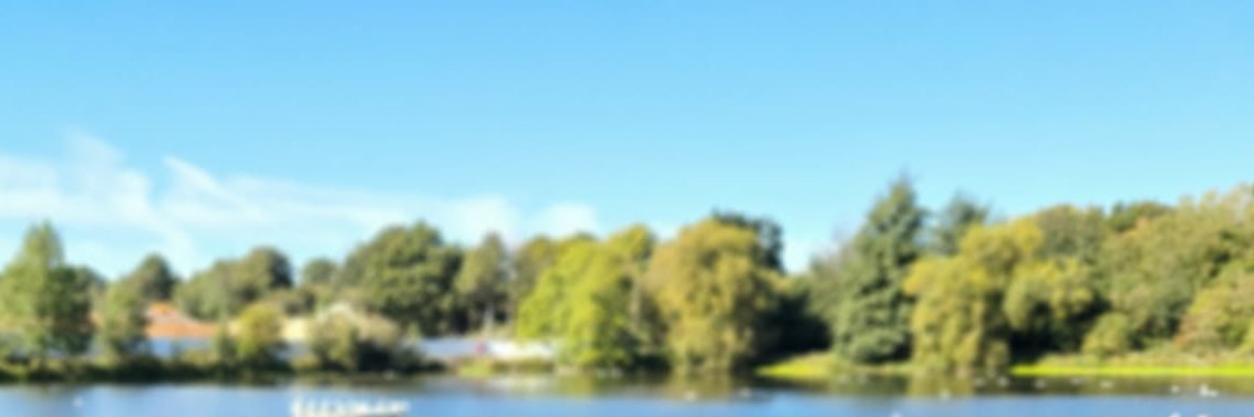 tamaraasinclair's profile banner image