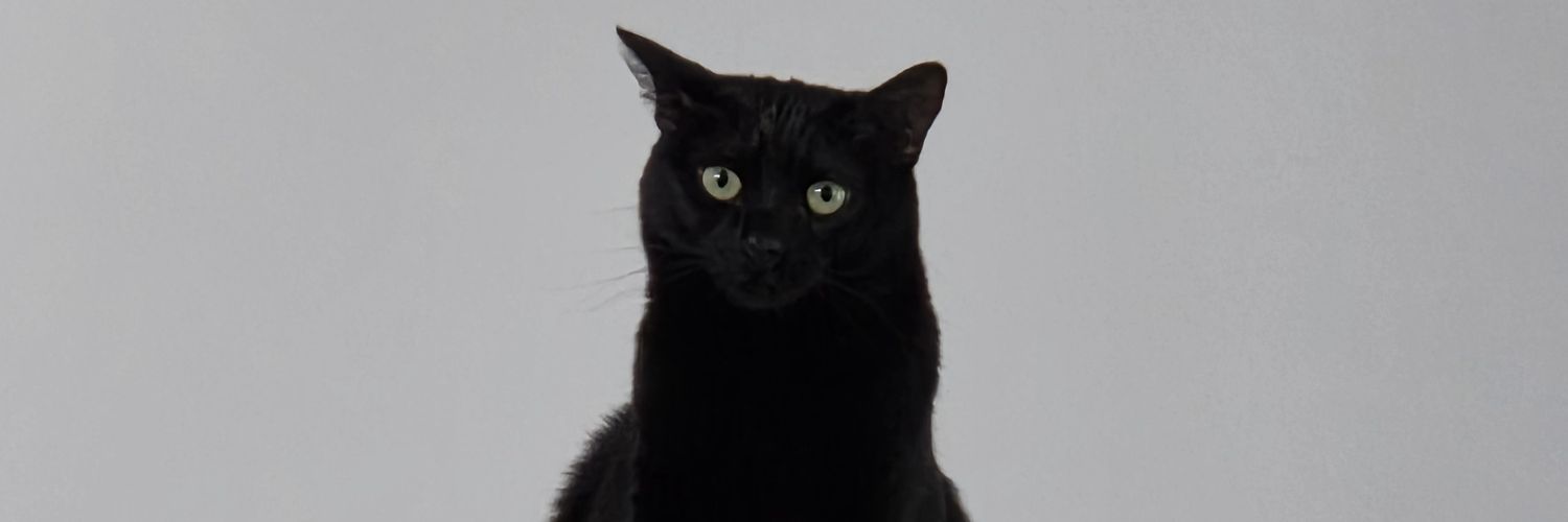 Debbiemedium banner
