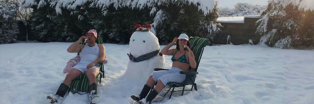 David E Williams banner