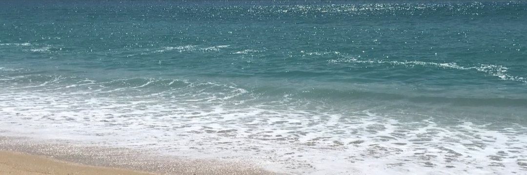 luisjefreey's profile banner image